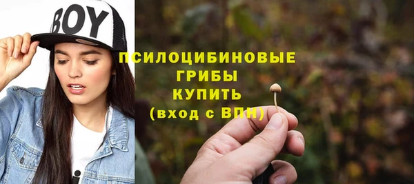 шишки Алзамай