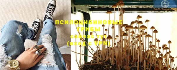 шишки Алзамай