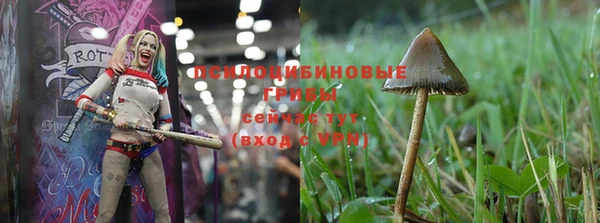 шишки Алзамай