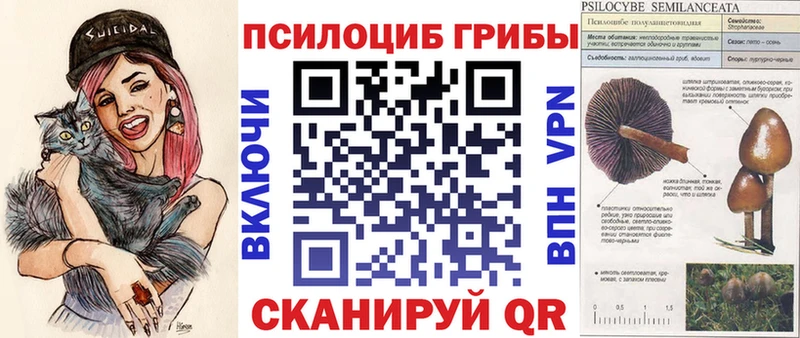 Галлюциногенные грибы Psilocybine cubensis  Южно-Сухокумск 